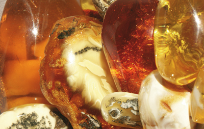 baltic-amber.jpg