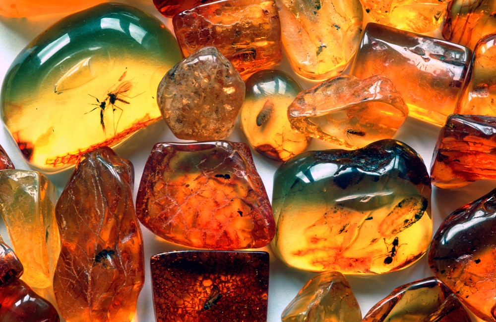 Baltic amber 